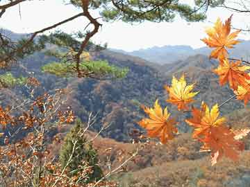 凉州区文化广电体育和旅游局人事任命揭晓，塑造未来发展的新篇章启动